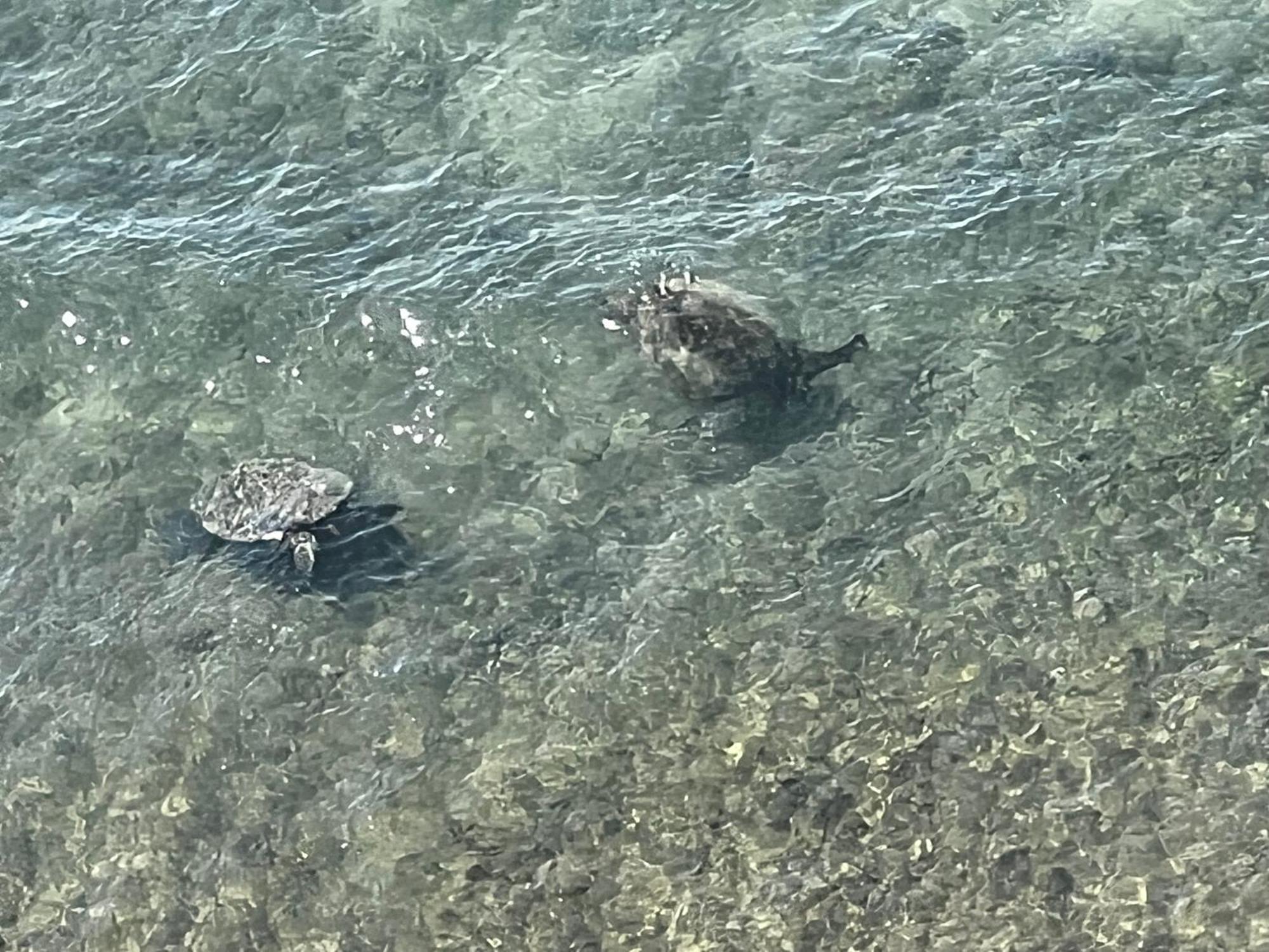 Kaanapali'S Royal Luxury Plantation Beach & Golf Estate Εξωτερικό φωτογραφία
